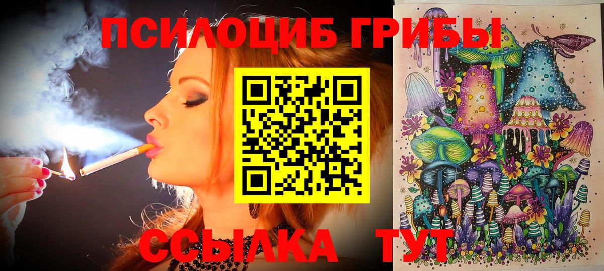 Галлюциногенные грибы мицелий  Вход с VPN  Тюмень  Псилоцибиновые грибы Psilocybe 